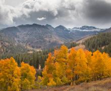 Sonora Pass Fall Colors