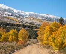 Summers Meadow Road