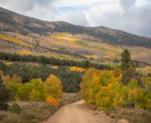 Summers Meadow Road