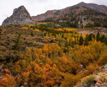 9.29.25 Tioga Pass - Samantha Lindberg, Mammoth Lakes Tourism