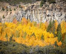 9.30.24 Tioga Pass by Jeff Simpson with Mammoth Lakes Tourism