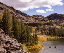 Tioga Pass Fall Colors (9-16-24) _ Photo Credit Samantha Lindberg -- Mammoth Lakes Tourism