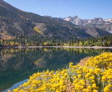 Twin Lakes Bridgeport