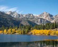 Twin Lakes Bridgeport Fall Color