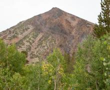 Virginia Lakes Fall Colors