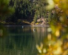 virginia lakes fishing
