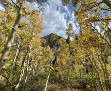 Virginia Lakes Fall Colors 2021