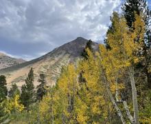 Virginia Lakes 9.8.21 - Photo by Jeff Simpson
