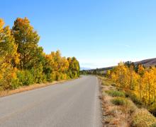 Virginia Lakes Road Fall Colors