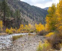 West Walker River