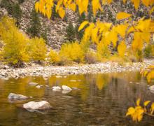 West Walker River