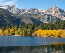 Twin Lakes Bridgeport Fall Color header image 16x9