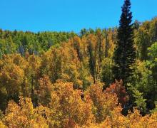 9.22.24 Lobdell Lake Berlin Del Aguila _Mammoth Lakes Tourism_03