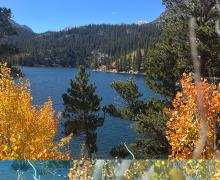9.30.25 - Rock Creek - Emily Bryant, Mono County Tourism