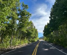 9.23.24 Rock Creek Road fall colors
