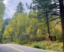 A forest service sign on the side of SR 108 Sonora Pass surrounded by trees changing colors for fall