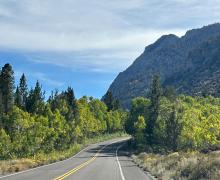 9.23.24 Rock Creek Road fall colors