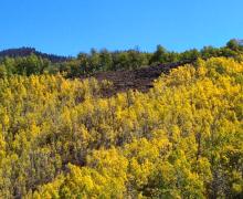 9-22-24 Lobdell Lake_PhotoCredit Berlin DelAguila _Mammoth Lakes Tourism