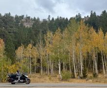 Motorcycle driving past aspen trees that are turning from green to yellow and orange