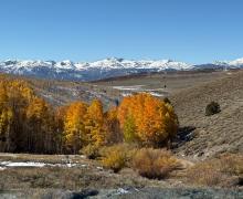 10.19.25 Lobdell Road - Amanda Carlson, Mono County Tourism