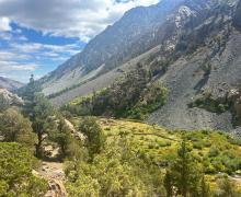Lundy Canyon creek and ponds -  Sep 17 2024 - Mono County Tourism