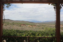 Charron Vineyards Patio View