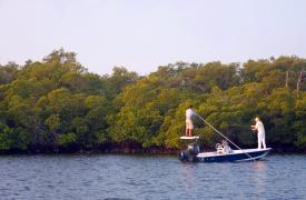 Fly Fishing in Punta Gorda/Englewood Beach