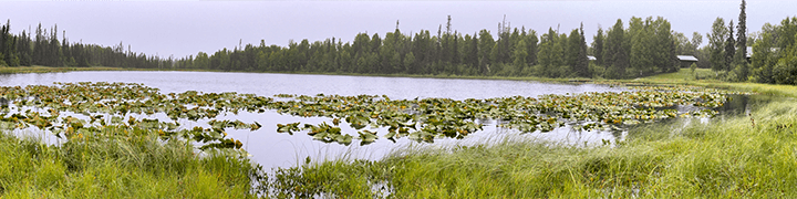Gate Creek Cabins on Gate Lake