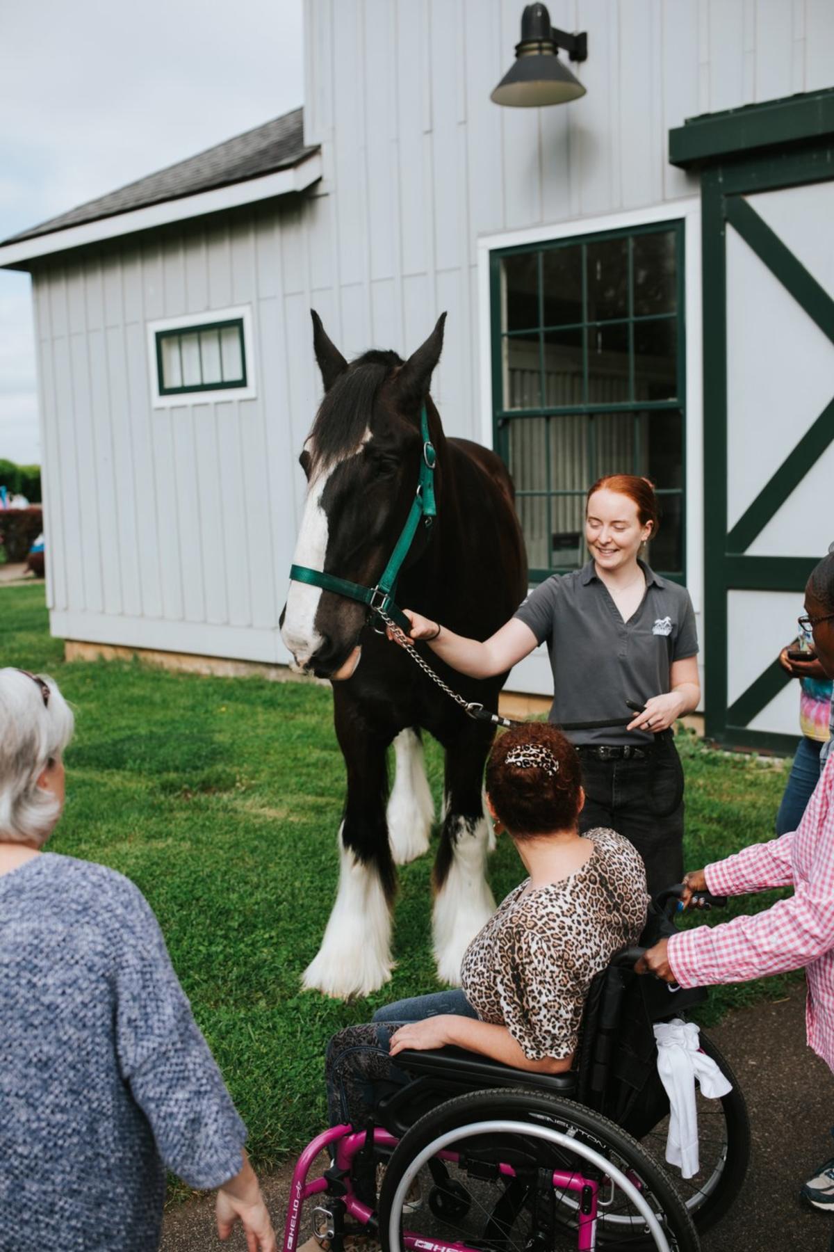 Horse being led by a woman to a woman in a wheelchair