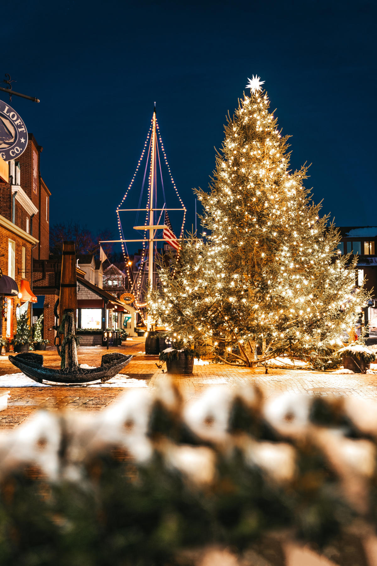 Bowen's Wharf Tree Lighting