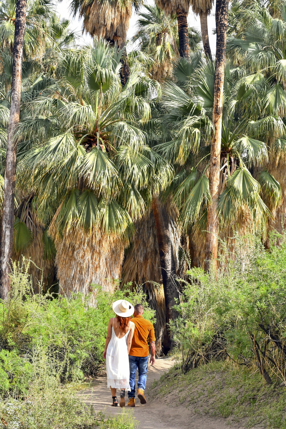 Couple walking on hiking path with palm trees