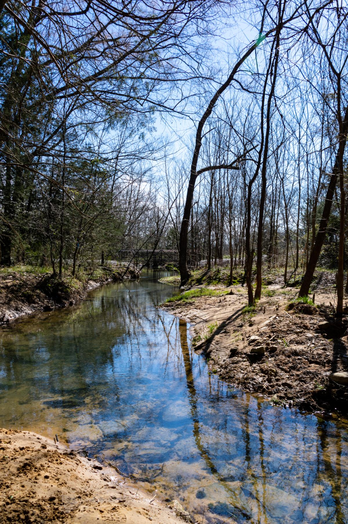 Bridge at Beth Spring Nature Preserve