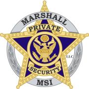 MSI Logo