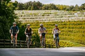 Bike shops in traverse city 2025