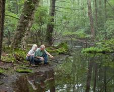 Picture of two people looking into the water of a pond.