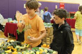 Gourd Shopping