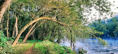 trail and river