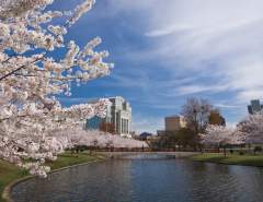 Big Spring International Park