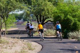 the-loop-bikes-cycling