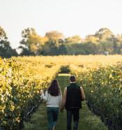 Newport Vineyards