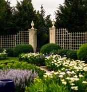 The Blue Garden