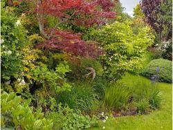 21 primley road sidmouth open gardens