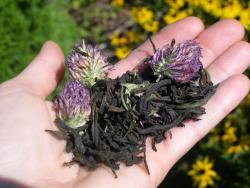 Light of Day Organic Tea