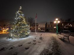 Lit up Tree in Downtown Lewisburg