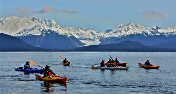 Paddle with Whales ABAK