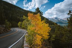 Old Fall River: RMNP's Other Scenic Drive