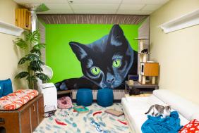 New And Coming Soon Restaurants In Huntsville And Madison