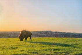 Top Picks For Outdoor Adventure At 9 Parks &amp; Monuments