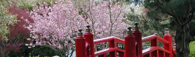 Shiojiri Niwa Garden | Mishawaka, IN 46544