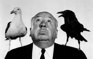 THE BIRDS